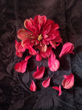 Load image into Gallery viewer, Forever Falling Blood Dahlia